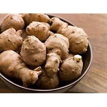 Jerusalem Artichoke Organic 1.5 Pounds