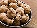 Jerusalem Artichoke (Organic) 1.5 Pounds