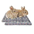 Amakunft 2 Pack of Square Plush Guinea Pig Pillow, Cozy Hamsters Sugar Glider Hedgehog Sleep Bed, Rabbit Cage Accessories Mat (Stars, Large)