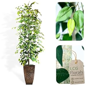 LCG Florals- Artificial Ficus Tree with Real-Wood Trunk & Copper Metal Pot - Indoor and Outdoor Faux Plants for Patio, Living Rooms, Offices & Outdoor Spaces (8FT, Copper Pot) LCG Florals Artificial Ficus Tree with Real Wood Trunk Copper Metal Pot Indoor and Outdoor Faux Plants for Patio Living Rooms Offices Outdoor Spaces 8FT Copper Pot