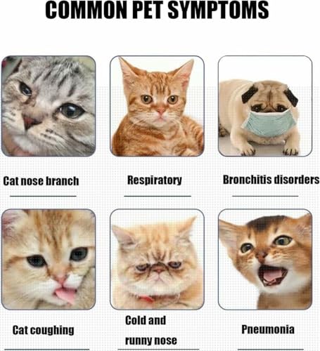 Caja de nebulización para cachorros y gatos, cámara de terapia de oxígeno para mascotas para inhalación, ideal para perros medianos y gatos en incubadora de guardería