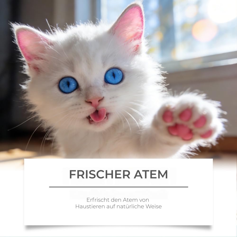 Vitarro Mundspray speziell für Katzen und Hunde, sorgt für natürlichen, frischen Atem, entfernt Zahnbelag, zur täglichen Mundpflege