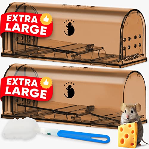 What is the difference between a rat trap and a mousetrap?