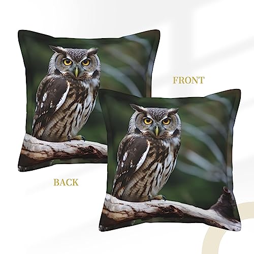 Housse de coussin rustique pour masquer l'usure de votre canape avec elegance - 3
