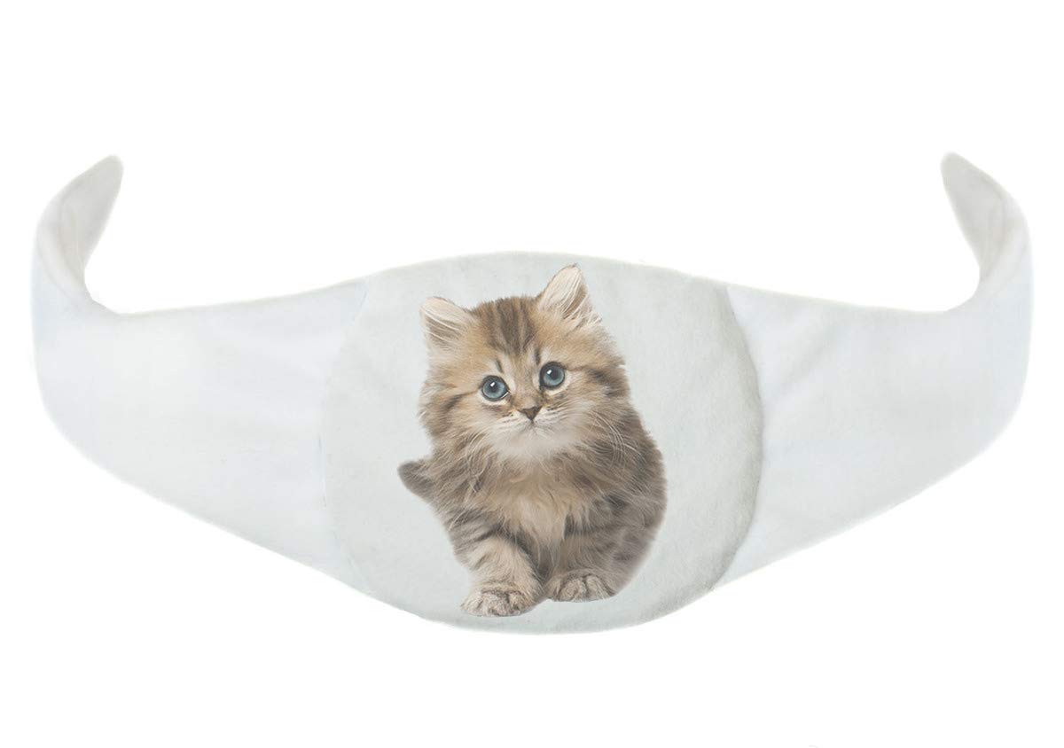 Sweet Cherry Stone Cushion for the Baby's Tummy Organic Cherry Stone Heatable Pillow "Heat and Cold Therapy" Cat [088]
