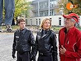  Bärendienst