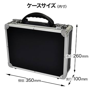 エフェクター4種類とエフェクターケース E.D.GEAR イーディーギア EDGEAR EPB04 エフェクターケース 550