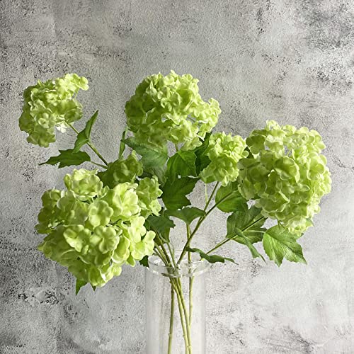 YalzoneMet Snowball Viburnum Hydrangea
