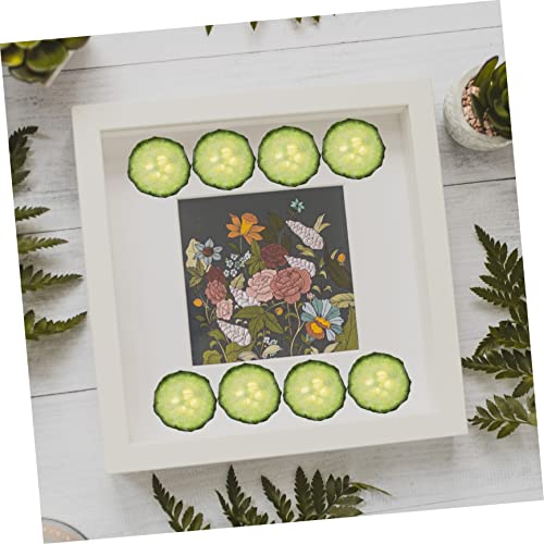 Healifty 12pcs rodajas de pepino prensadas secas para manualidades miniatura 6