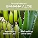 Hey Humans Banana Aloe Moisturizing Body Wash with Natural Ingredients & Jojoba Oil | Clean, Vegan, Sulfate Free Bath & Body Wash for Women & Men | Recyclable Bottle, 14 fl. oz. - Pack of 3