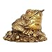 WQQLQX Statue Goldene Cicada Dekoration Goldene Cicada Skulptur Moderne Skulptur Dekoration Home Store Büro Geschenk Dekoration Skulpturen