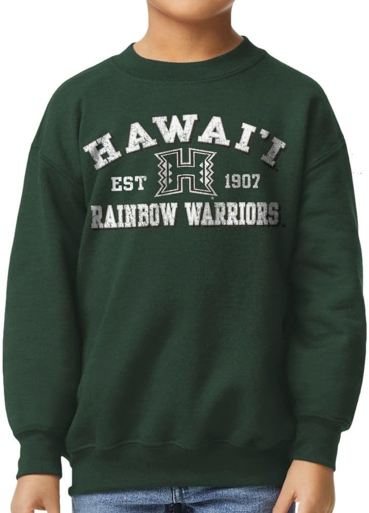 Barnesmith NCAA Unisex Youth Crewneck Sweatshirt, Vintage Logo, Color