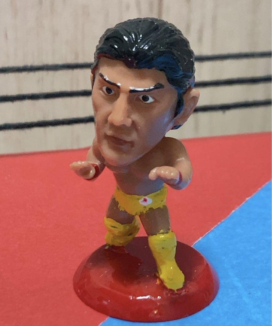 Amazon.co.jp: プロ格ヒーローズ 侍 船木誠勝 カスタム品 : おもちゃ