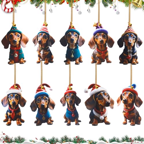 Dackel Weihnachtsbaumschmuck 10 Stück,Cute Acryl Dachshund...