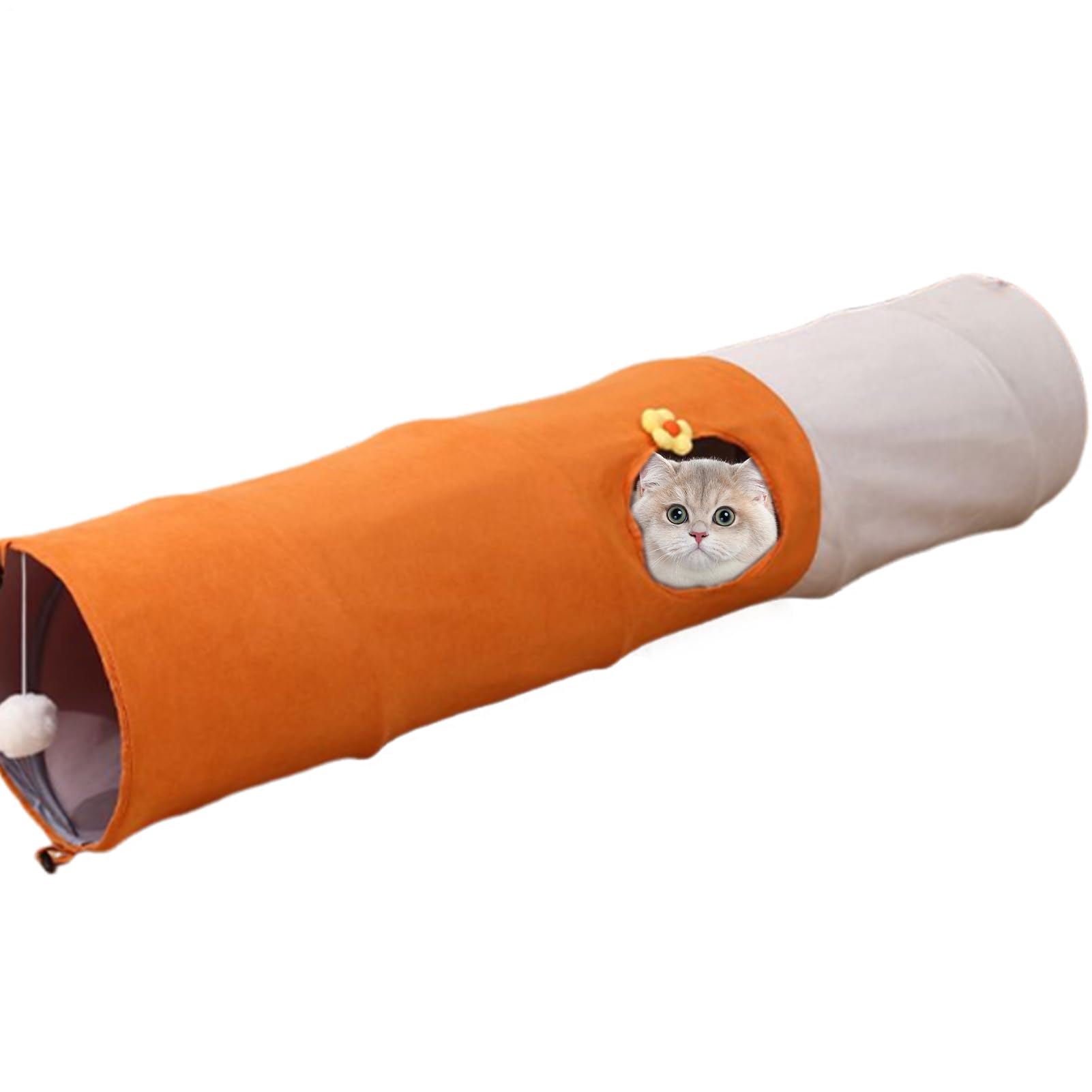 Tanière tente interactive et tunnel pour chat durable et robuste