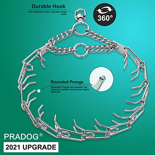 Best Dog Pinch Collars Buying Guide Gistgear