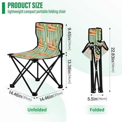 Chaise de camping pliable ultra legere FRODOTGV au design compact avec dossier confort