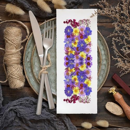 Flores secas prensadas kit para manualidades miniatura 7