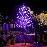 Sakura Cherry Blossom Tree Lights, 6.5FT Lighted Bonsai Tree, 208 LED Artificial Tree Decorations for Bedroom Home Office Party Wedding Christmas Decorations