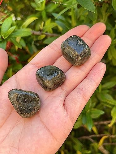 Image of GAF TREASURES 1 /2 LB Labradorite Tumbled Stones, Polished Labradorite Gemstone, Labradorite Healing Crystals (Labradorite)