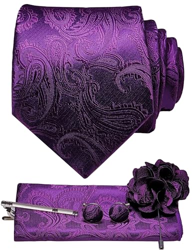 JEMYGINS Ensemble de cravates brodées Paisley pour homme, mouchoir de poche, pince à cravate, boutons de manchette, pour mariage, fête, affaires,...