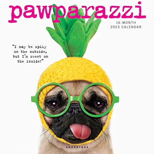 Graphique Pawparazzi Wall Calendar - 16-Month 2023 Calendar, 12"X12" W/ 3 Languages, 4-Month Preview, & Marked Holidays… #TOP11