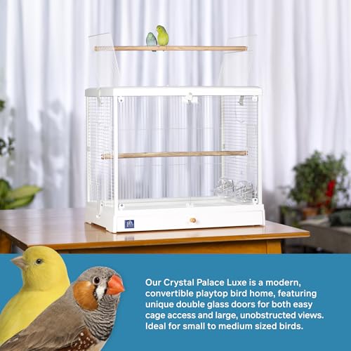 Prevue Pet Products Clear View Glass Bird Cage Crystal Palace Luxe for Small Birds - White Frame - Image 3