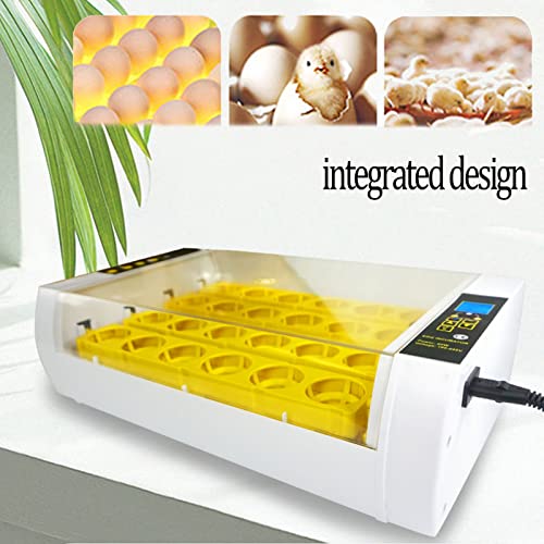 ZQWOZQ Automatische Eggs Brutmaschine, Intelligent, Konstanttemperaturregelung Inkubator Für 24 Eier, Klein Heimat… – Bild 4