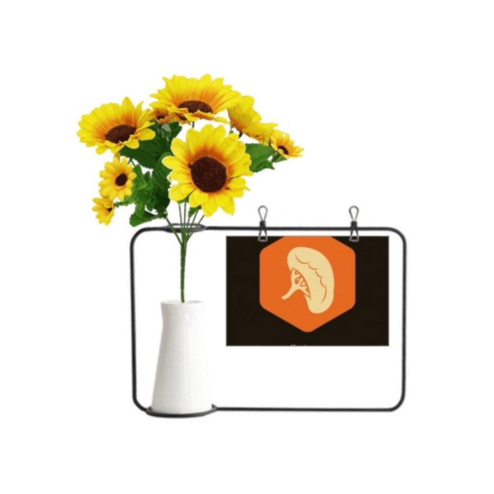 Idée cadeau avec carte de bénédiction tournesol et design anatomique d'organes internes
