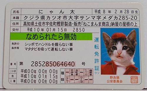 【平成8年生まれ】にゃん太(なめねこ カード免許証) 【平成8年生まれ】にゃん太(なめねこ カード免許証)