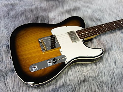 Amazon | FgN(FUJIGEN) NTL200 2TS ハムバッカー搭載!! エレキギター