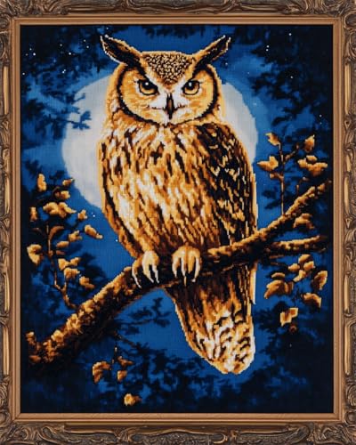 Kit de broderie hibou lune point de croix facile toile imprimée 9CT