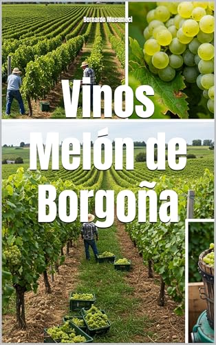 Vinos Melón de Borgoña (Wines of the World: France)