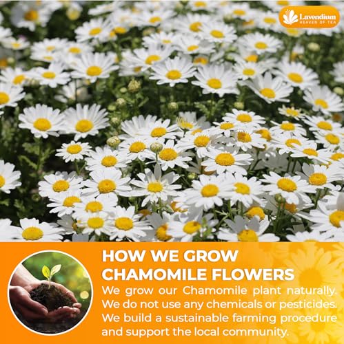 Image of Lavendium, Premium 4oz Dried Chamomile Flowers, 100% Natural & Pure Whole Chamomile Blossoms, No Additives or Preservatives, Non-GMO, Plant-Based & Vegan, Perfect for Herbal Tea & Infusions
