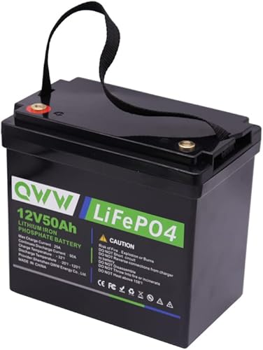Miniatura 4 de QWW Batería LiFePo4 12V50AH
