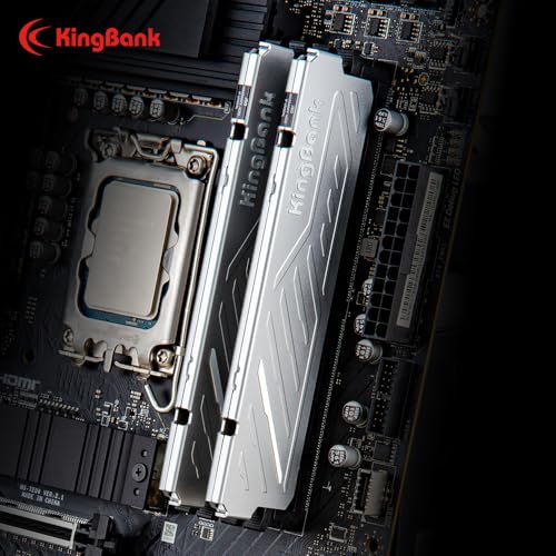 Amazon.com: KingBank Official : All Product