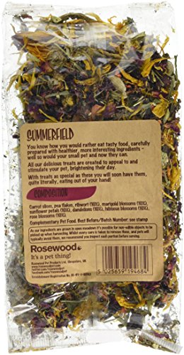 Rosewood Naturals Summerfield, Rabbit Treats & Small Animal Treats, 100g (Pack of 2)