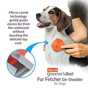 Hartz groomers best fur fetcher de shedder dog brushblack   cucciolini doodles