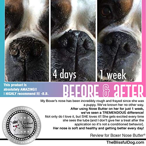 Image of The Blissful Dog White Boxer Nose Butter for Dry, Cracked Skin, Lick-Safe Dog Nose Balm with Moisturizing Shea Butter, Almond, Olive, and Essential Oils, Pet Supplies, Uncented, 8 oz.