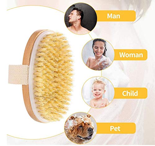 Dry Brushing Set, Biluer 2PCS Body Brush Back Scrubber And 1PCS Bath Brush Exfoliating Brush for Treatment & Verbetert… - Image 4