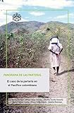  Panorama de la parteras: El caso de la partería en el Pacífico colombiano