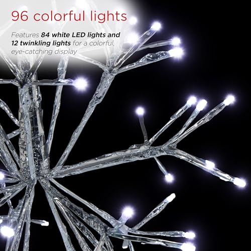 image for Alpine Corporation 16