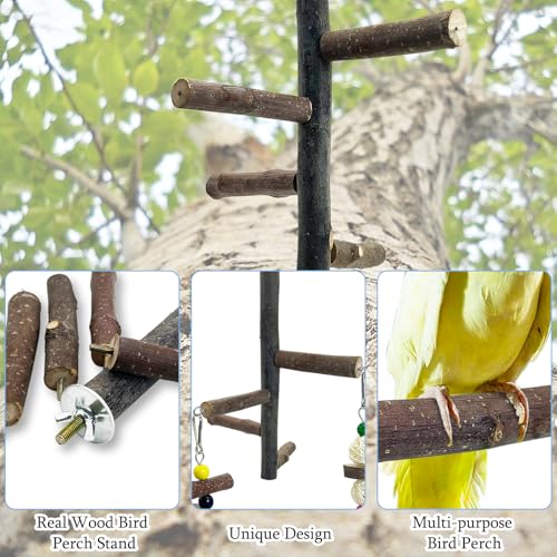Image of Hamiledyi Bird Perch Stand Toy, Natural Wood Bird Perch Stand Birds Perch Toys with Rotating Balls Parakeet Toys for Parakeets Cockatiels Conures Budgies Finches Love Birds