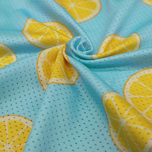 Fitwarm Lemon Summer Dog Dress Puppy Clothes Doggie Sundress Pet Vest Cat Apparel Water Teal Blue Xxs #TOP5