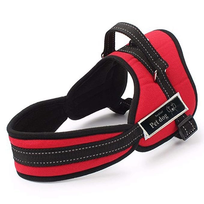 RvPaws Dog Body Harness Non-Pull Soft Padded Heavy Duty Vest Harness with Adjustable Straps and Handle for Dogs (B0CM12NC9H) Amazon Price History, Amazon Price Tracker