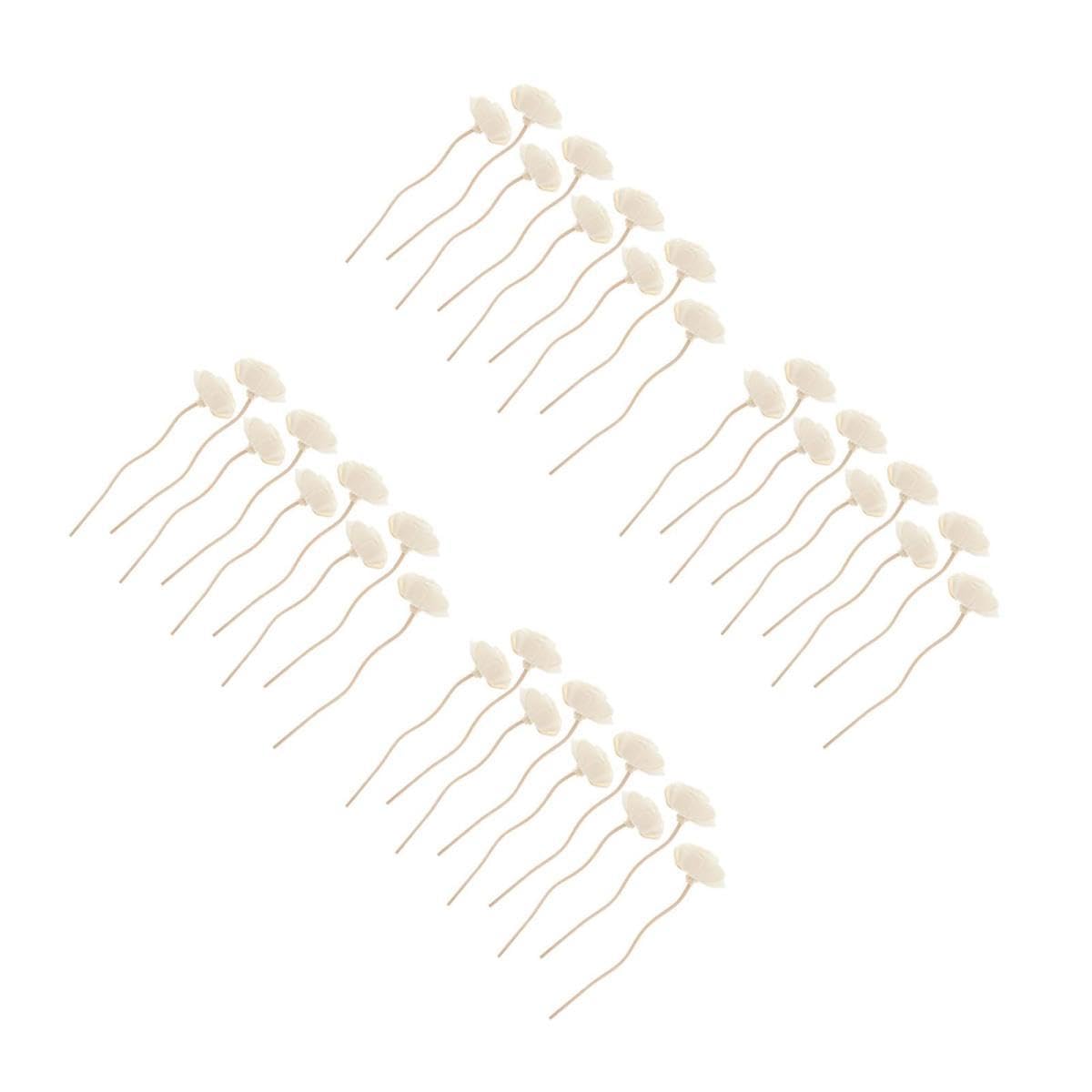 IMIKEYA 36stücke Aromatherapie Diffuser-Sticks Mit Getrockneten Blumen Feuerloser Duftspender Für Ätherische Öle Dekorative Raumbeduftung Für Zuhause Büro Und Spa