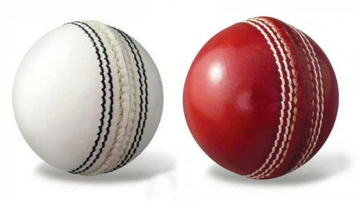 QODEL Leather Cricket Ball Combo Pack of 2-picture-26