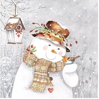Set of TWO INDIVIDUAL *Luncheon Size* Paper Napkins - NOT PACKS - (Design # 367) - SNOWMAN, WINTER, ROBIN BIRD - for Decoupage, Art, Craft, Party, Holiday, Wedding, Birthday, Mixed Media