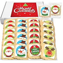 Christmas Cookies Stocking Stuffers for Kids Party Favors | Holiday Gourmet Corporate Food Gift INDIVIDUALLY WRAPPED Bulk | 24 Decorated Sugar Cookies