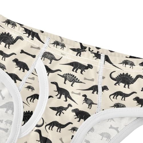 Dinosaur Pattern Boys' Underwear 100% Cotton Boys' Briefs Soft Toddler Underwear4